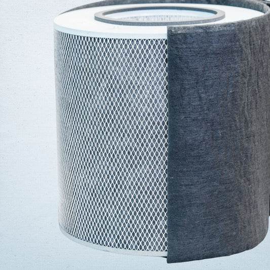 Austin Air Purifier Immunity Filter